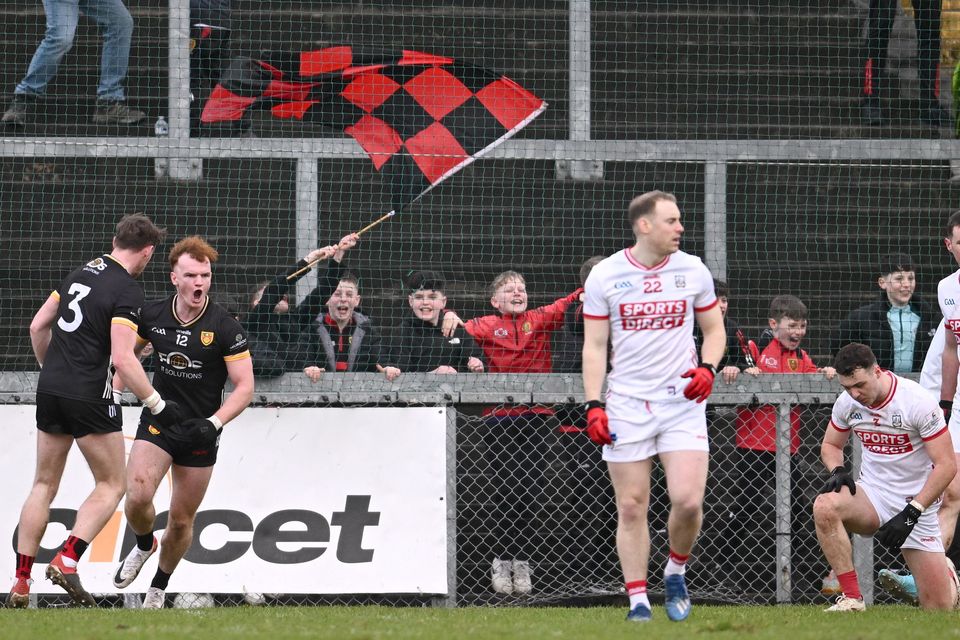 Danny Magill of Down celebrates after scoring a goal against Cork at Páirc Esler